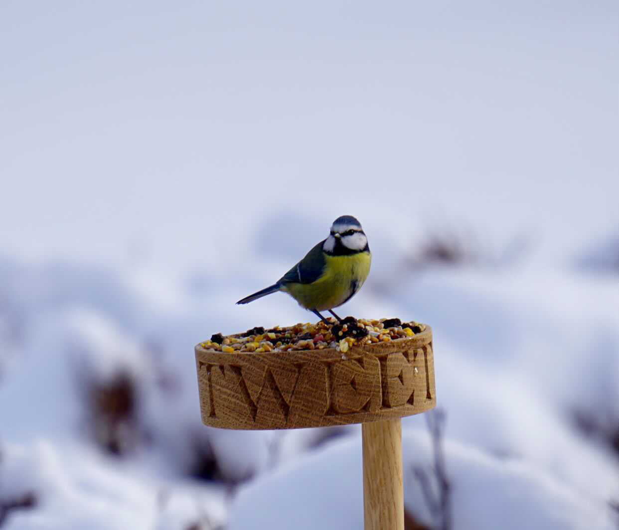 FUGLEMATER*