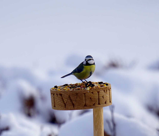 FUGLEMATER*