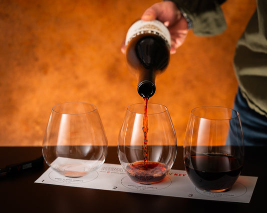 RIEDEL KEY TO WINE*