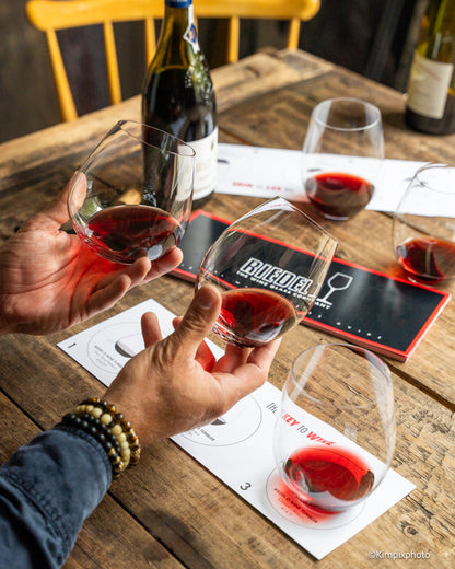 RIEDEL KEY TO WINE*