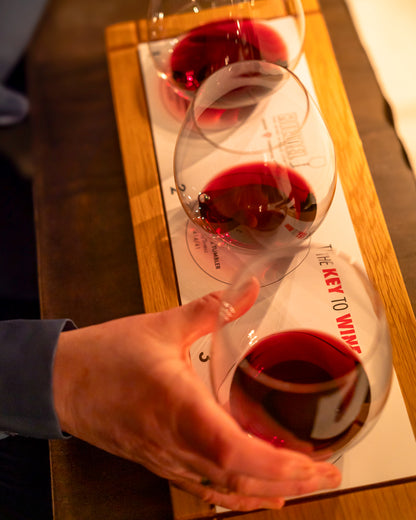 RIEDEL KEY TO WINE*